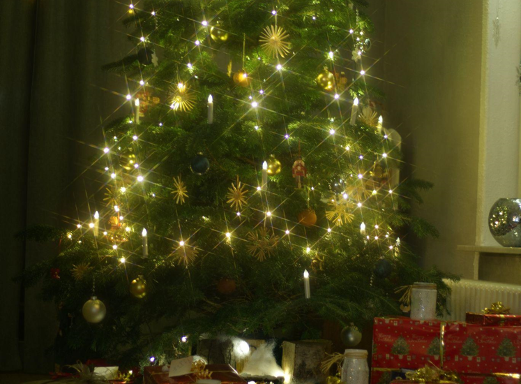 The Charm of Fake Christmas Trees: Keeping the Classic Christmas Green and Your Leisure Life