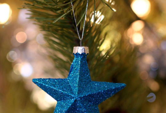 Christmas Tree Decorations: Noble Fir with Gold Ornaments