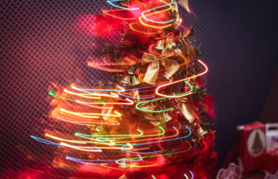 Find the Perfect Christmas Tree for Sale