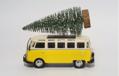 Find Joy with Flocked Christmas Trees