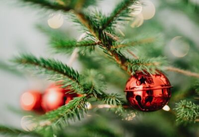 Decorate Joyfully with Flocked Christmas Trees
