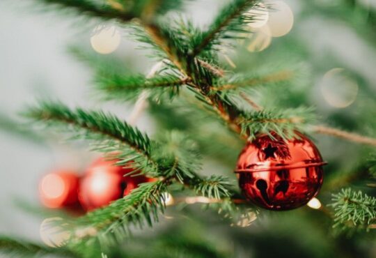 Decorate Joyfully with Flocked Christmas Trees