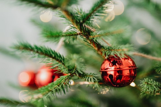 Decorate Joyfully with Flocked Christmas Trees
